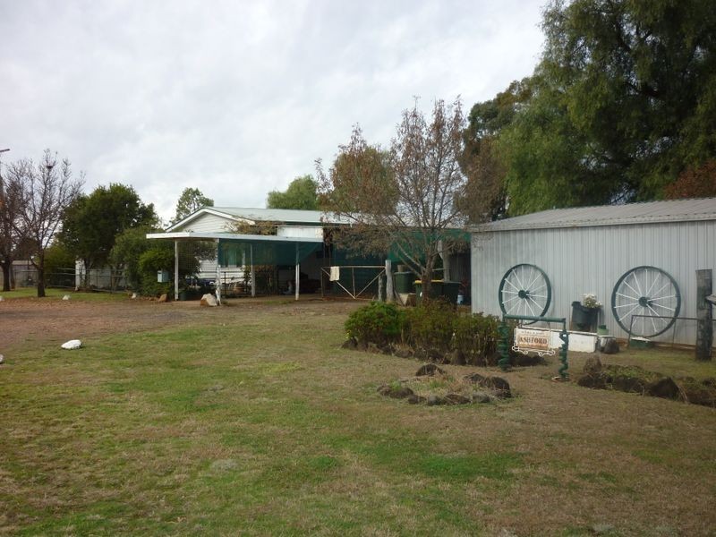 MS2 Ashford, Mogriguy NSW 2830