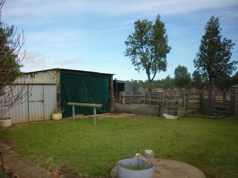 MS2 Ashford, Mogriguy NSW 2830