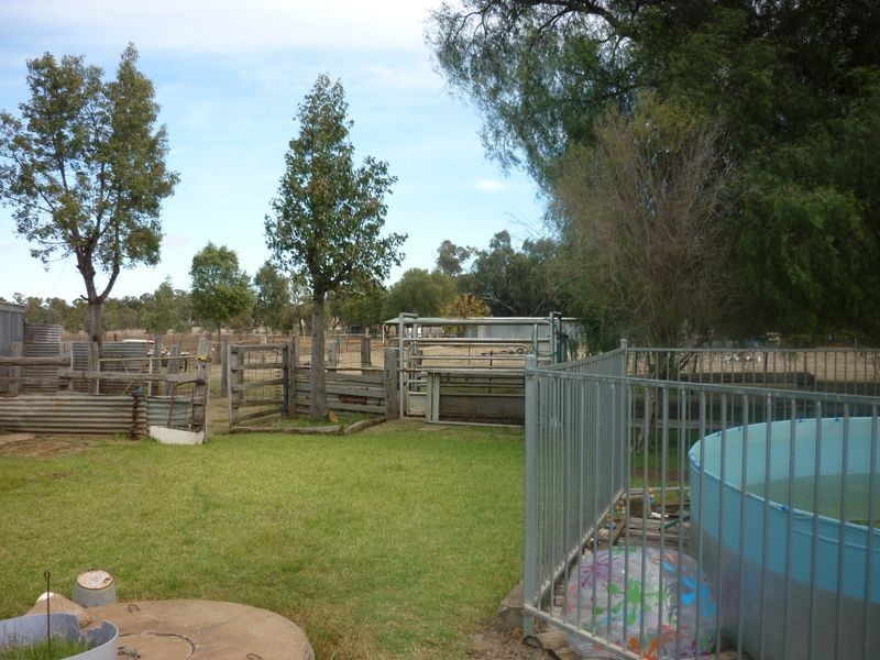 MS2 Ashford, Mogriguy NSW 2830