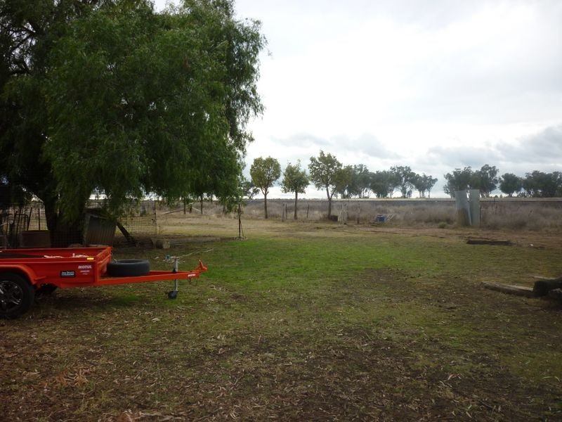 MS2 Ashford, Mogriguy NSW 2830