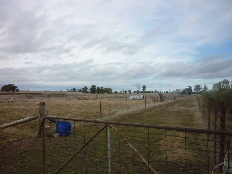 MS2 Ashford, Mogriguy NSW 2830