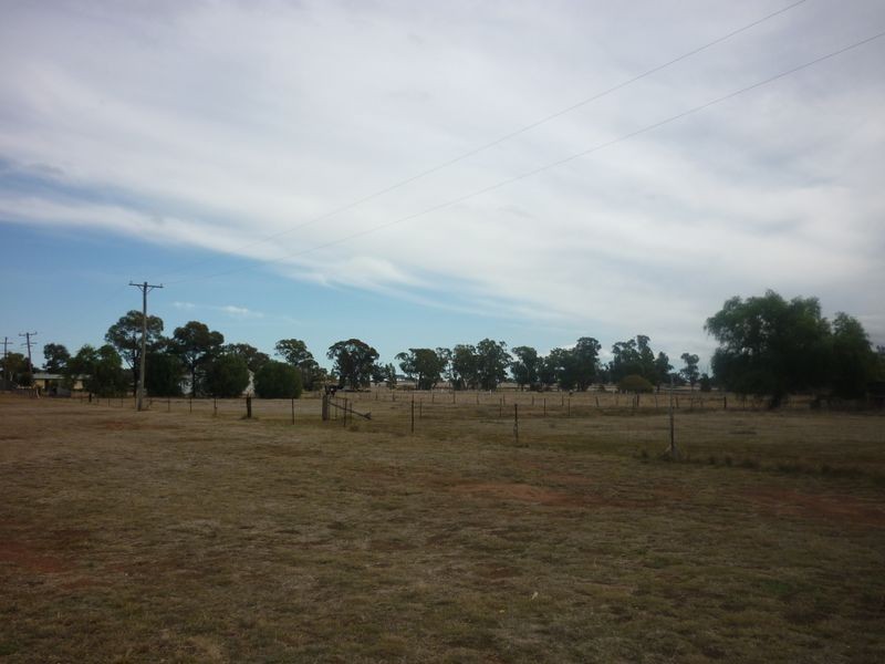 MS2 Ashford, Mogriguy NSW 2830