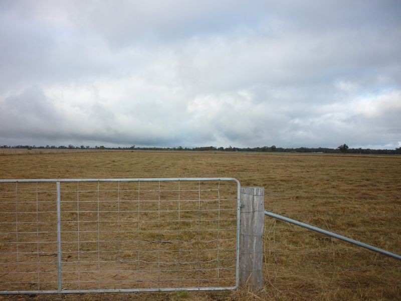 150 Villeneuve Drive, Narromine NSW 2821