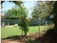 126 Wingewarra Street, Dubbo NSW 2830