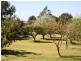 1R Belgravia Heights Road, Dubbo NSW 2830