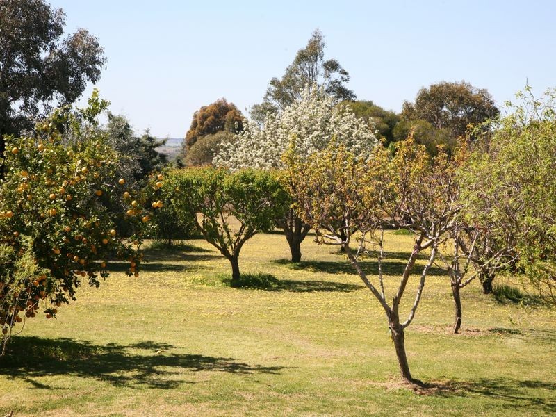 1R Belgravia Heights Road, Dubbo NSW 2830