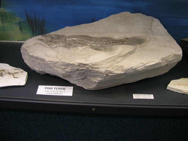 Crystal Ki Newell Highway, Coonabarabran NSW 2357