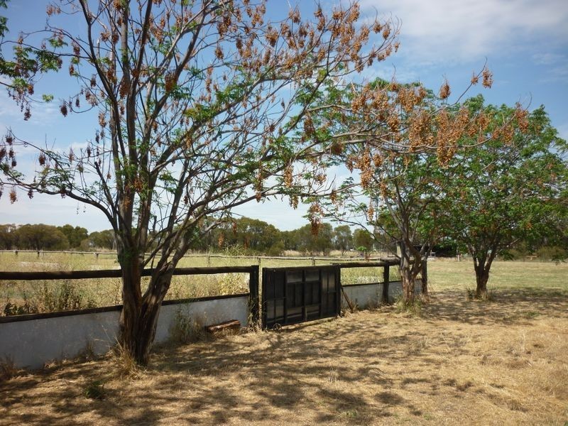 29 South Bunninyong Road, Dubbo NSW 2830