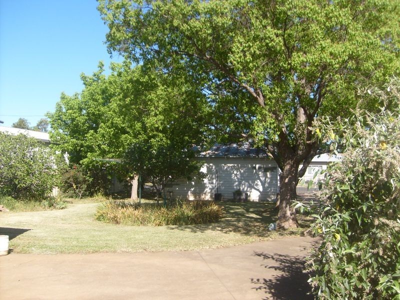 77 Wamboin Street, Gilgandra NSW 2827