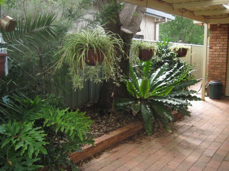 13 Allandale Drive, Dubbo NSW 2830