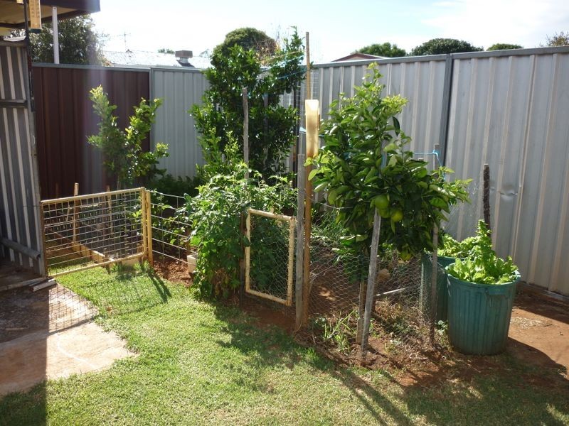 40 Brigalow Avenue, Dubbo NSW 2830