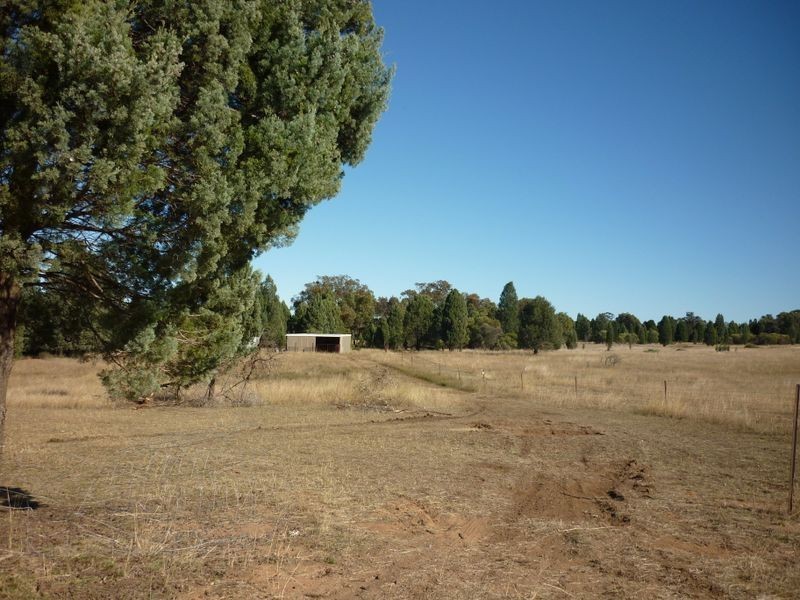 8L Morey Place, Dubbo NSW 2830