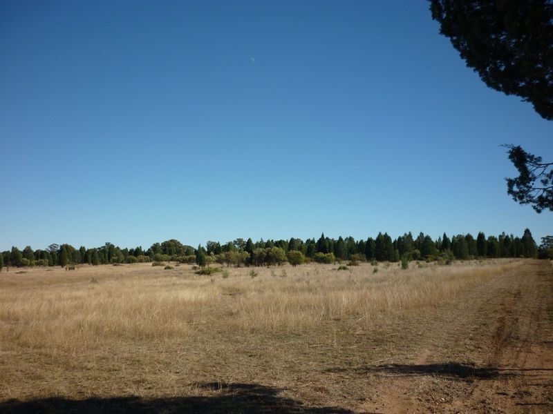 8L Morey Place, Dubbo NSW 2830