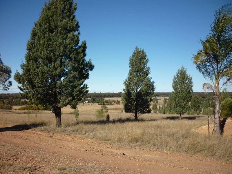 8L Morey Place, Dubbo NSW 2830