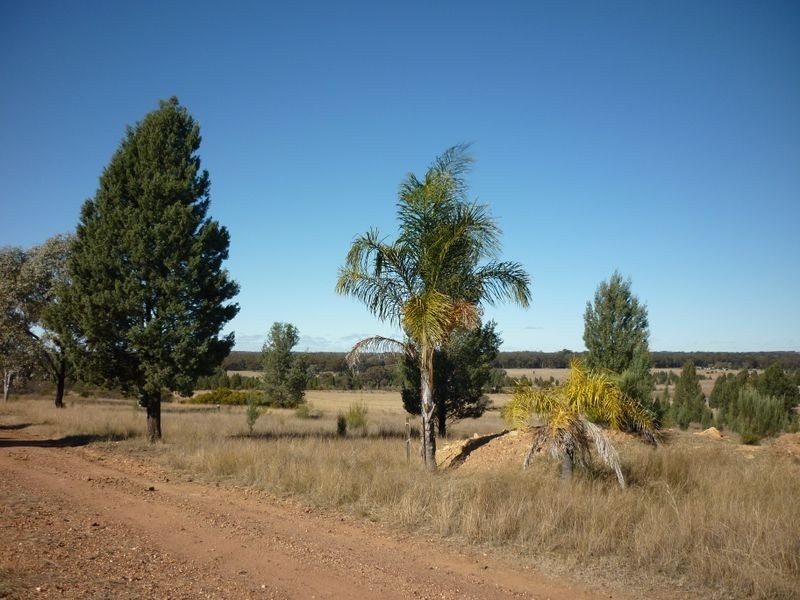 8L Morey Place, Dubbo NSW 2830