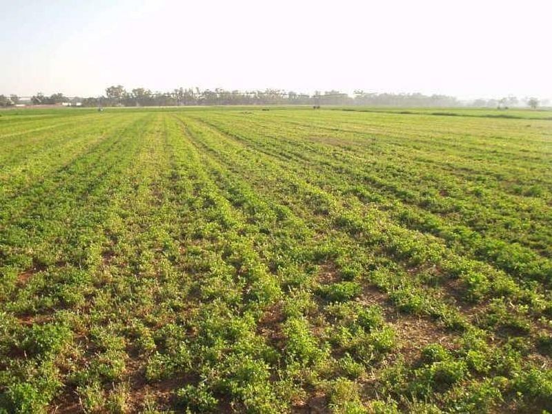 Property 2 Boothenba Road, Dubbo NSW 2830
