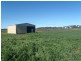 Lot 41 Old Gilgandra Road, Dubbo NSW 2830