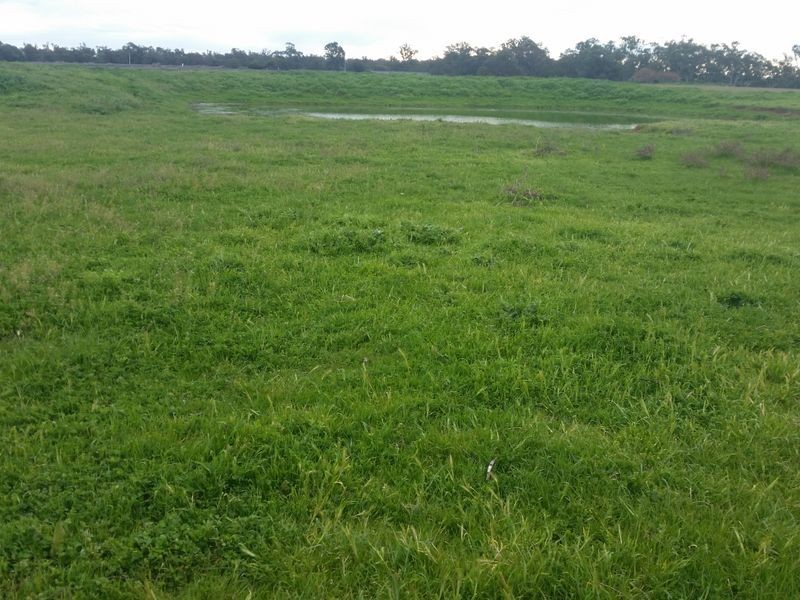 Lot 41 Old Gilgandra Road, Dubbo NSW 2830