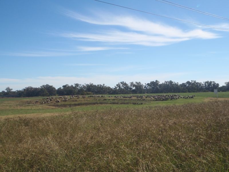 Lot 41 Old Gilgandra Road, Dubbo NSW 2830