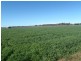 Lot 41 Old Gilgandra Road, Dubbo NSW 2830