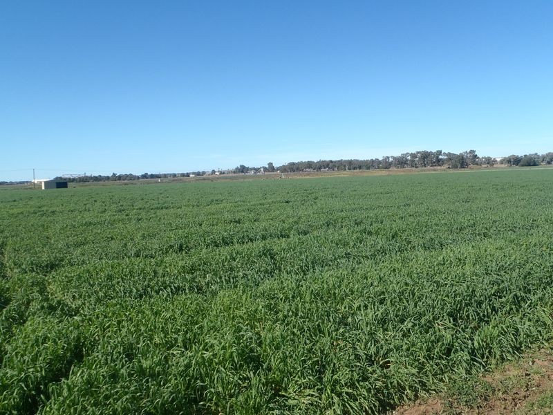 Lot 41 Old Gilgandra Road, Dubbo NSW 2830