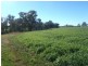 Lot 41 Old Gilgandra Road, Dubbo NSW 2830