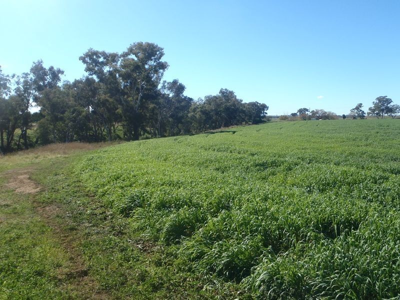 Lot 41 Old Gilgandra Road, Dubbo NSW 2830