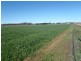 Lot 41 Old Gilgandra Road, Dubbo NSW 2830