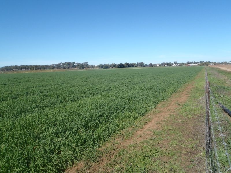 Lot 41 Old Gilgandra Road, Dubbo NSW 2830