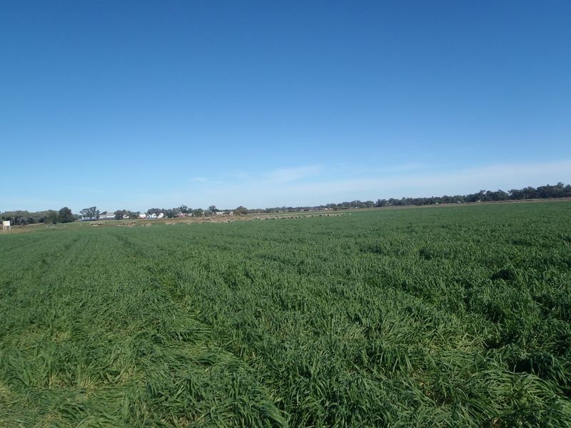 Lot 41 Old Gilgandra Road, Dubbo NSW 2830