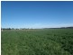 Lot 41 Old Gilgandra Road, Dubbo NSW 2830
