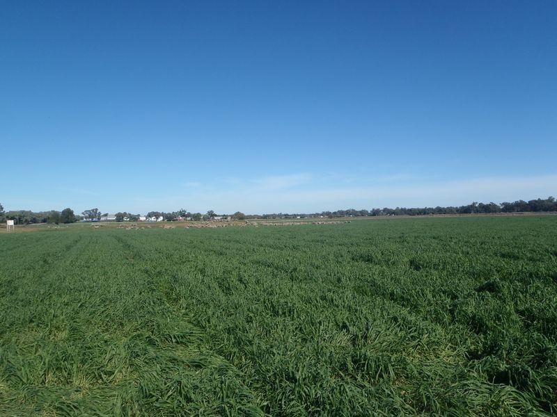 Lot 41 Old Gilgandra Road, Dubbo NSW 2830