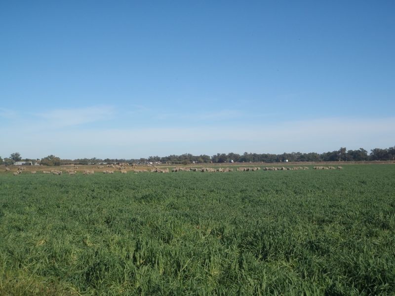 Lot 41 Old Gilgandra Road, Dubbo NSW 2830