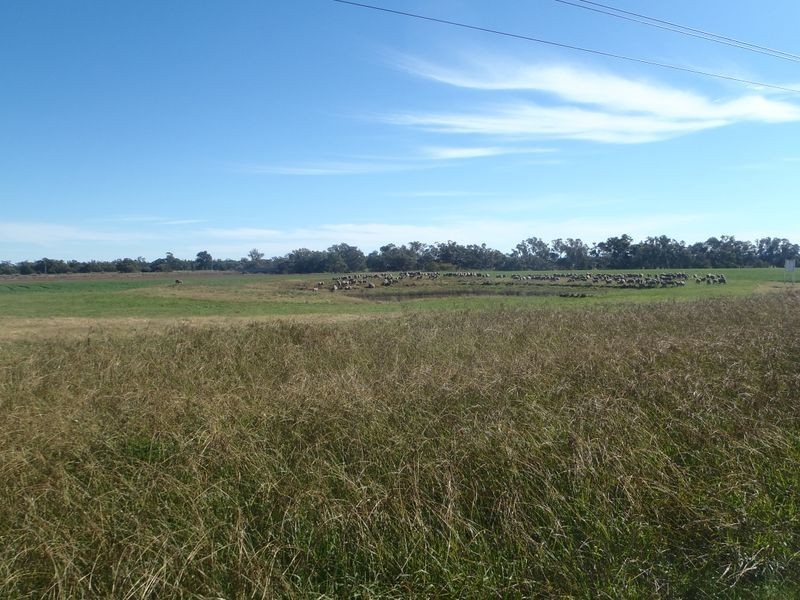 Lot 41 Old Gilgandra Road, Dubbo NSW 2830