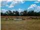 Lot 41 Old Gilgandra Road, Dubbo NSW 2830