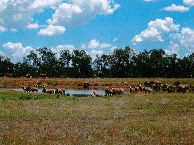 Lot 41 Old Gilgandra Road, Dubbo NSW 2830