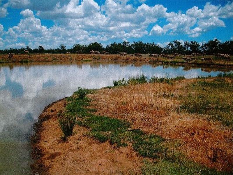 Lot 41 Old Gilgandra Road, Dubbo NSW 2830