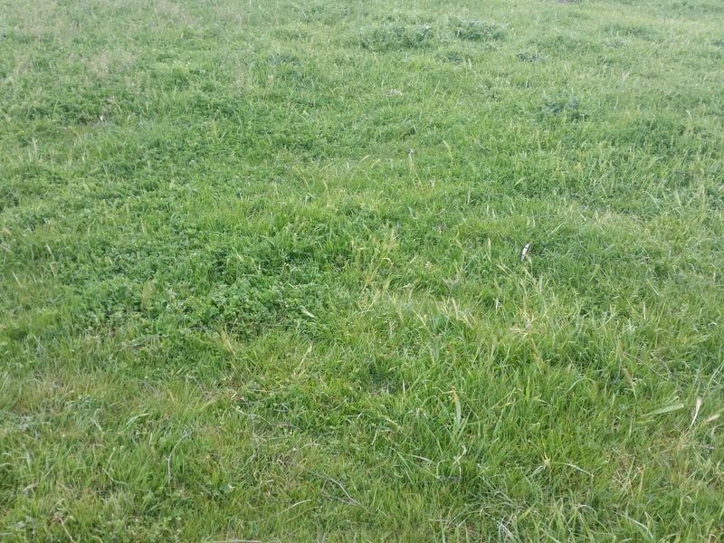 Lot 41 Old Gilgandra Road, Dubbo NSW 2830