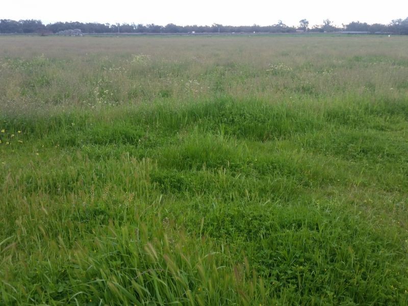 Lot 42 Old Gilgandra Road, Dubbo NSW 2830