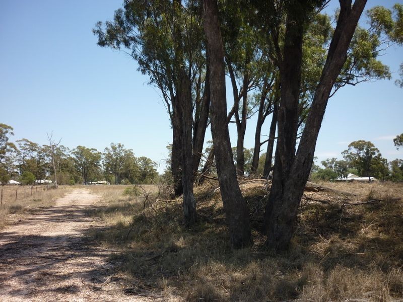 Lot 114 & Glenleigh Road, Eumungerie NSW 2831