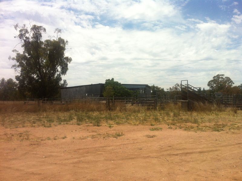 790 Flora Reserve Rd, Bearbong NSW 2827