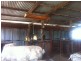 790 Flora Reserve Rd, Bearbong NSW 2827
