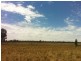 790 Flora Reserve Rd, Bearbong NSW 2827