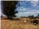 790 Flora Reserve Rd, Bearbong NSW 2827