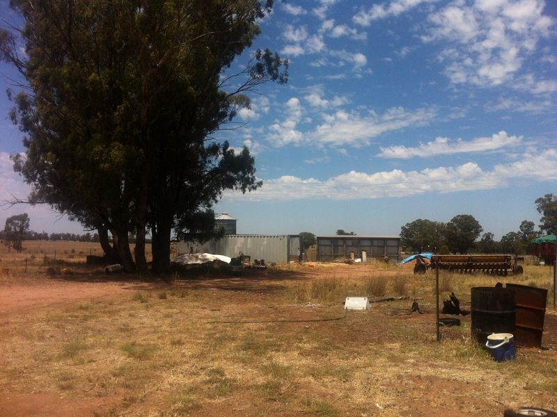 790 Flora Reserve Rd, Bearbong NSW 2827