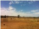 790 Flora Reserve Rd, Bearbong NSW 2827