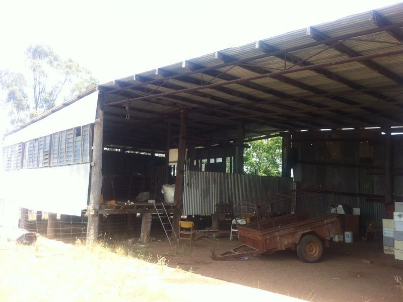 790 Flora Reserve Rd, Bearbong NSW 2827