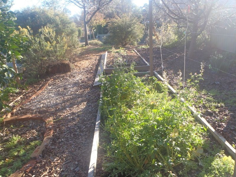 7 Barracks Close, Dubbo NSW 2830