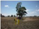 Lot 114 & Glenleigh Road, Eumungerie NSW 2831