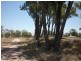 Lot 114 & Glenleigh Road, Eumungerie NSW 2831